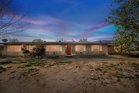 Photo of 49133 Manzanita Drive, Landers, CA 92285 (MLS # 219140186DA)