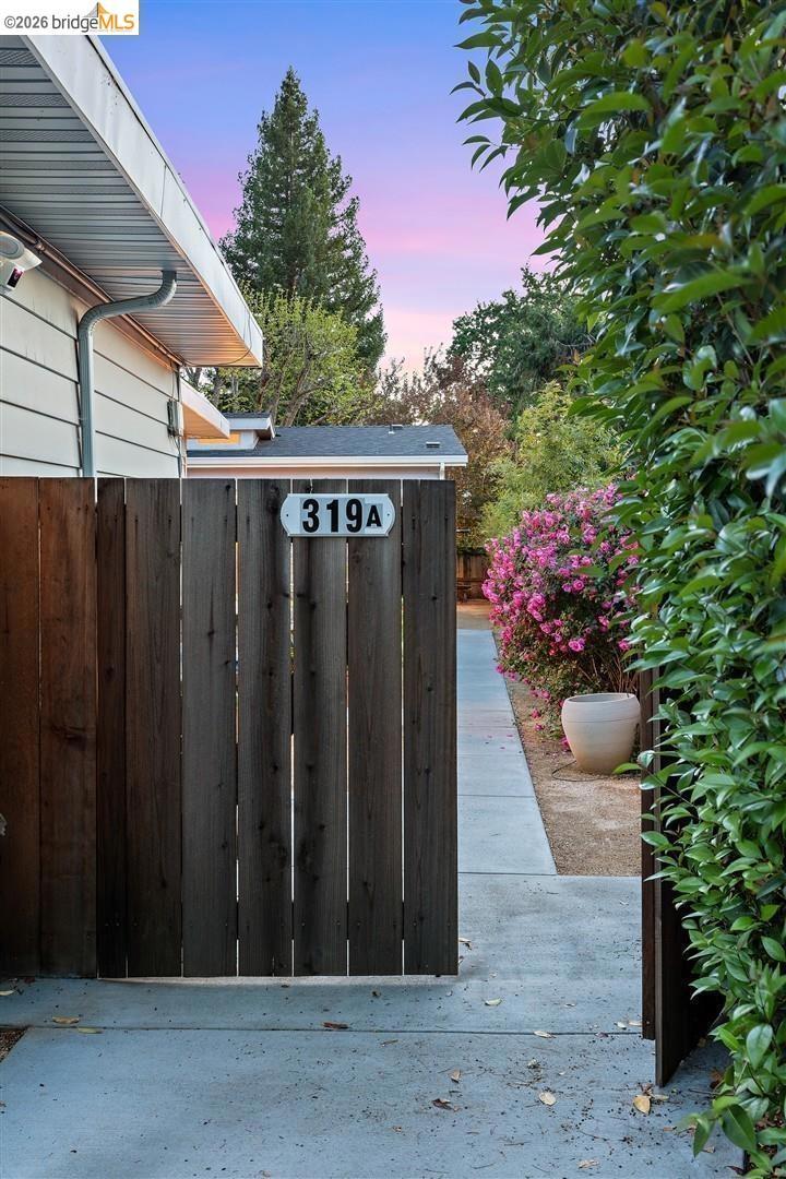 319 N San Pedro Rd