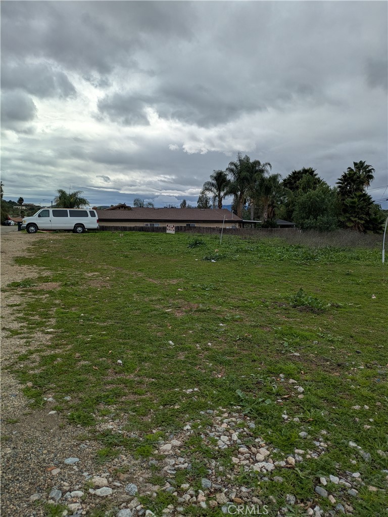 1 Gaviota