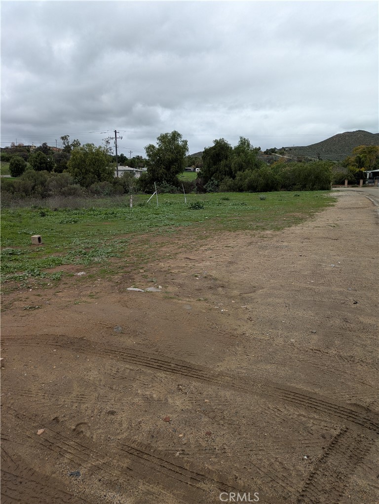 1 Gaviota