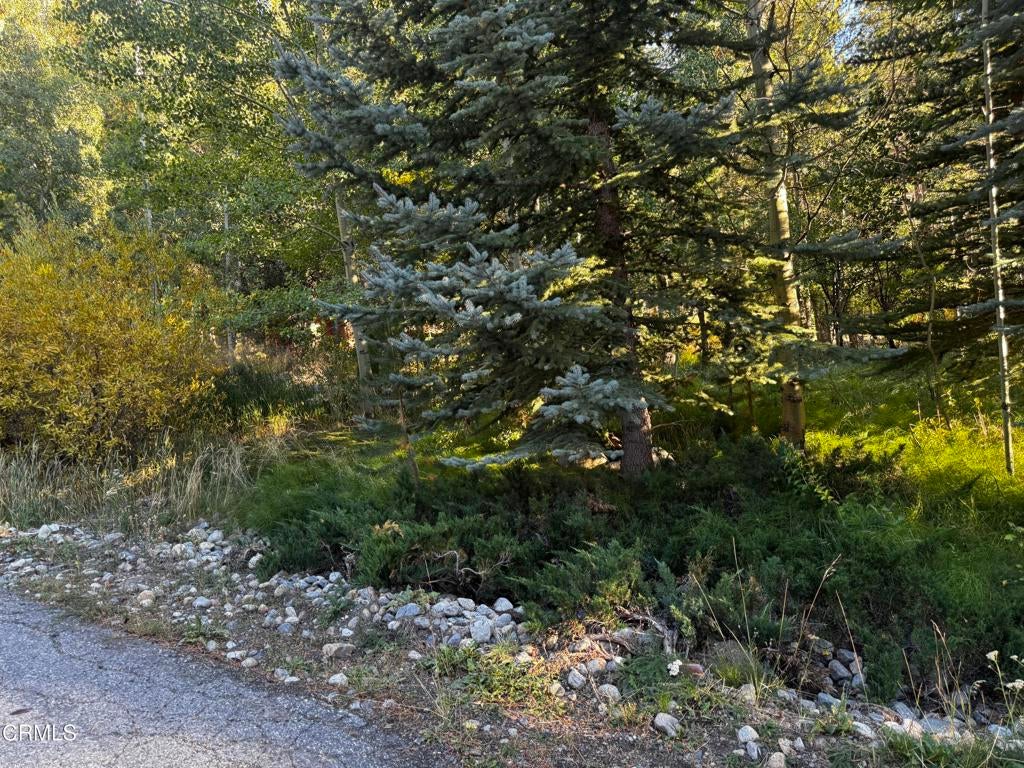 Lot 3 Minaret Road