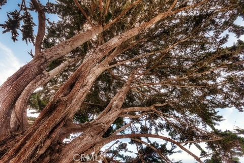 Tiny photo for 542 Kern Avenue, Morro Bay, CA 93442 (MLS # SC26096690)