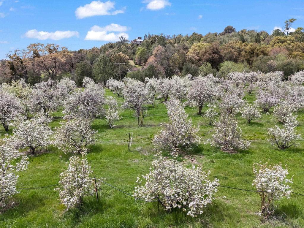 1020 Julian Orchards Drive