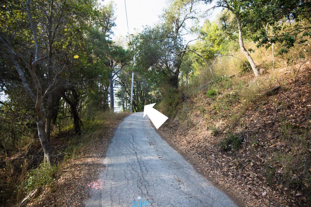Madrone Avenue
