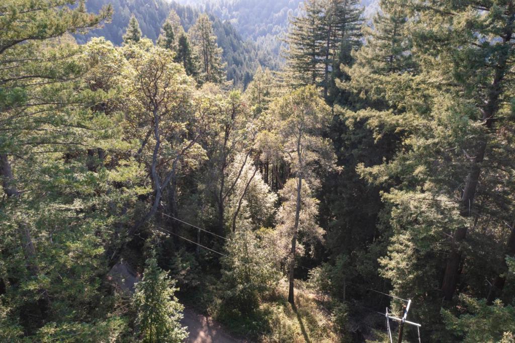 Madrone Avenue