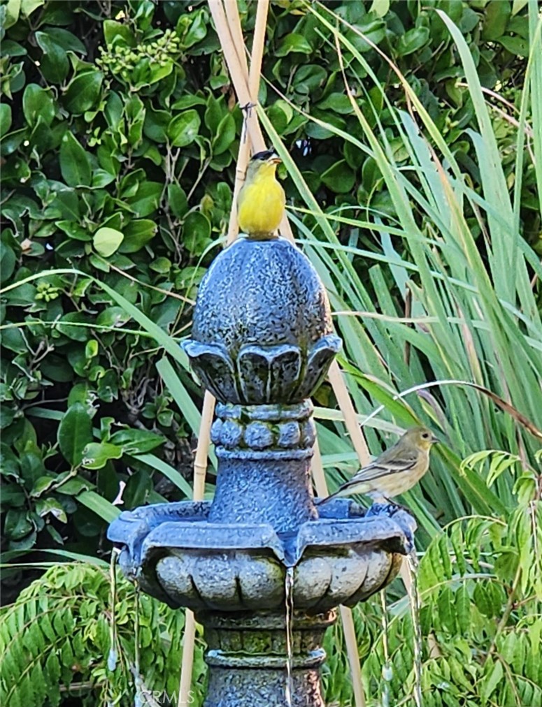 1534 Sunny Crest Drive