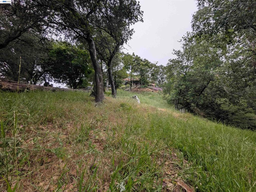 0 Chelsea Ct