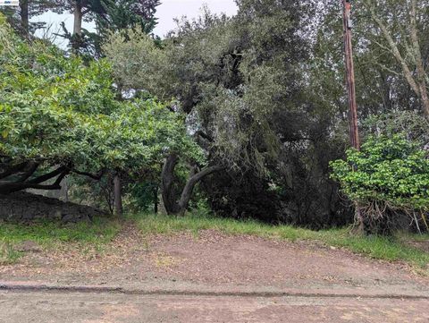 Photo of 0 Chelsea Ct, Oakland, CA 94603 (MLS # 41134564)