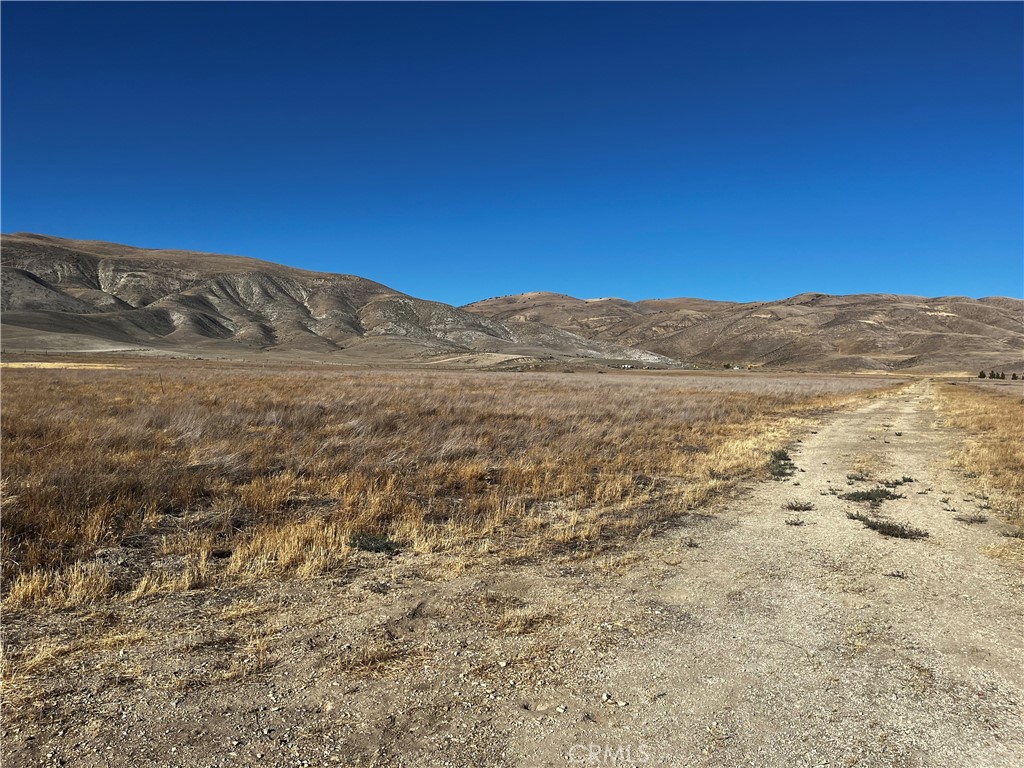 Carrizo Plains/California Valley(62) - Land