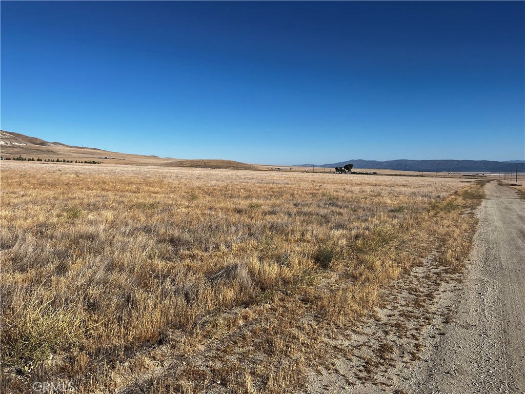 Carrizo Plains/California Valley(62) - Land