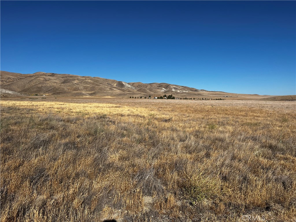 Carrizo Plains/California Valley(62) - Land