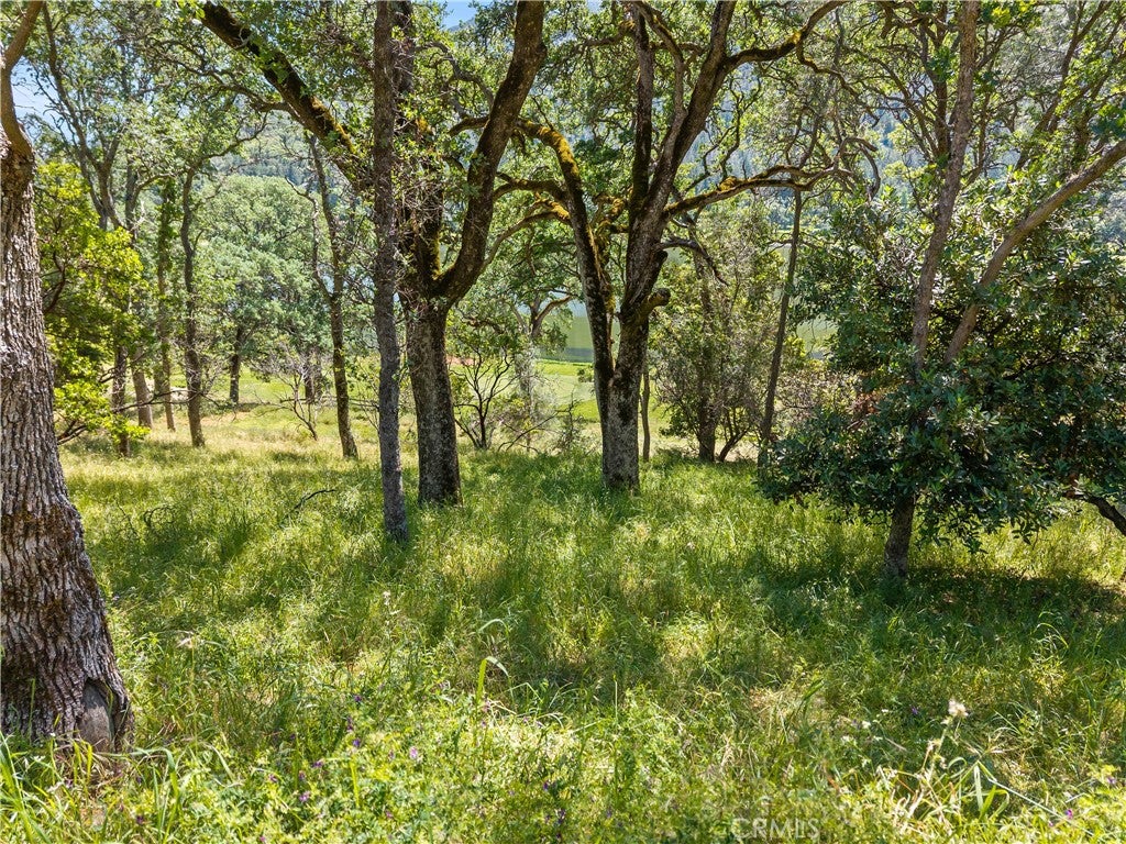 8259 Little Borax Lake Rd