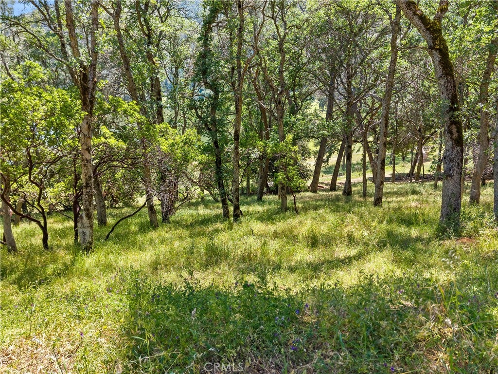 8259 Little Borax Lake Rd