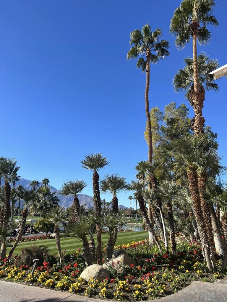 Desert Princess - Residential Lease