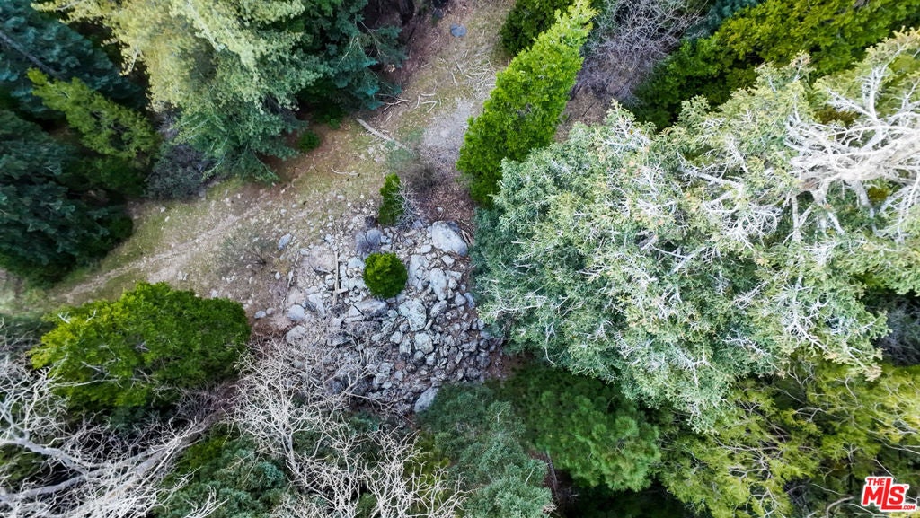 246 Cedar Ridge Drive