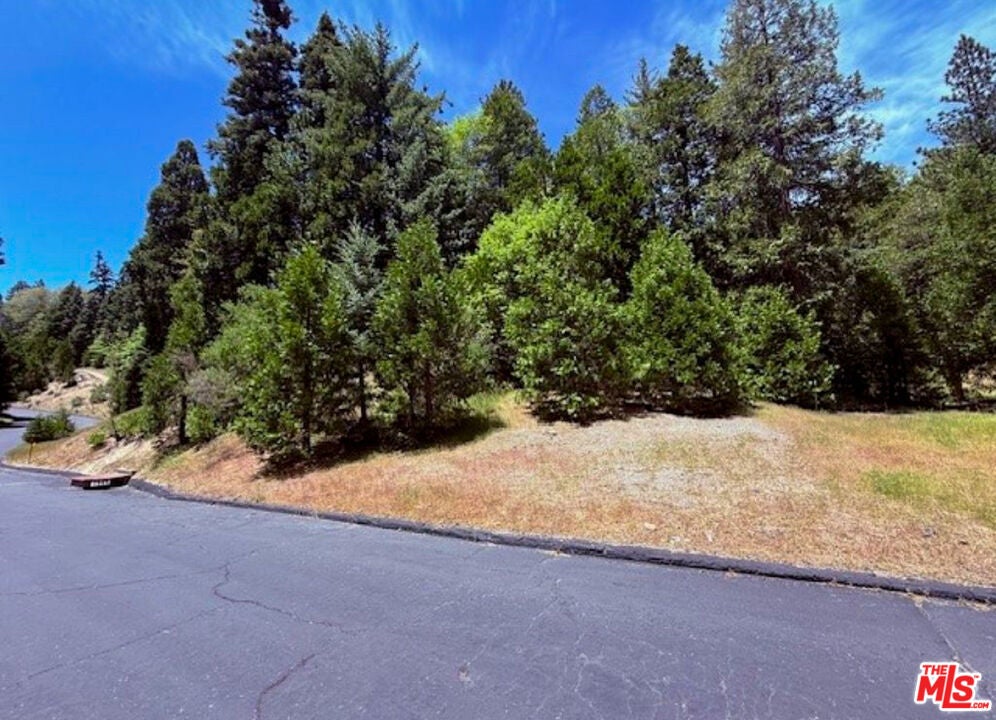 246 Cedar Ridge Drive