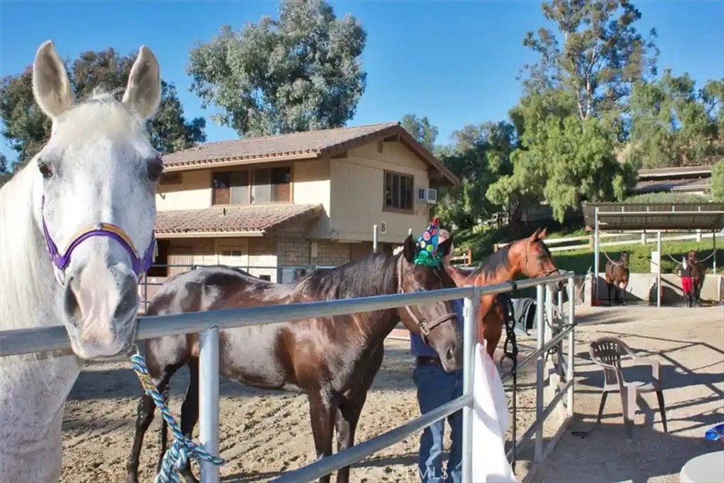 Nellie Gail (NG) - Residential