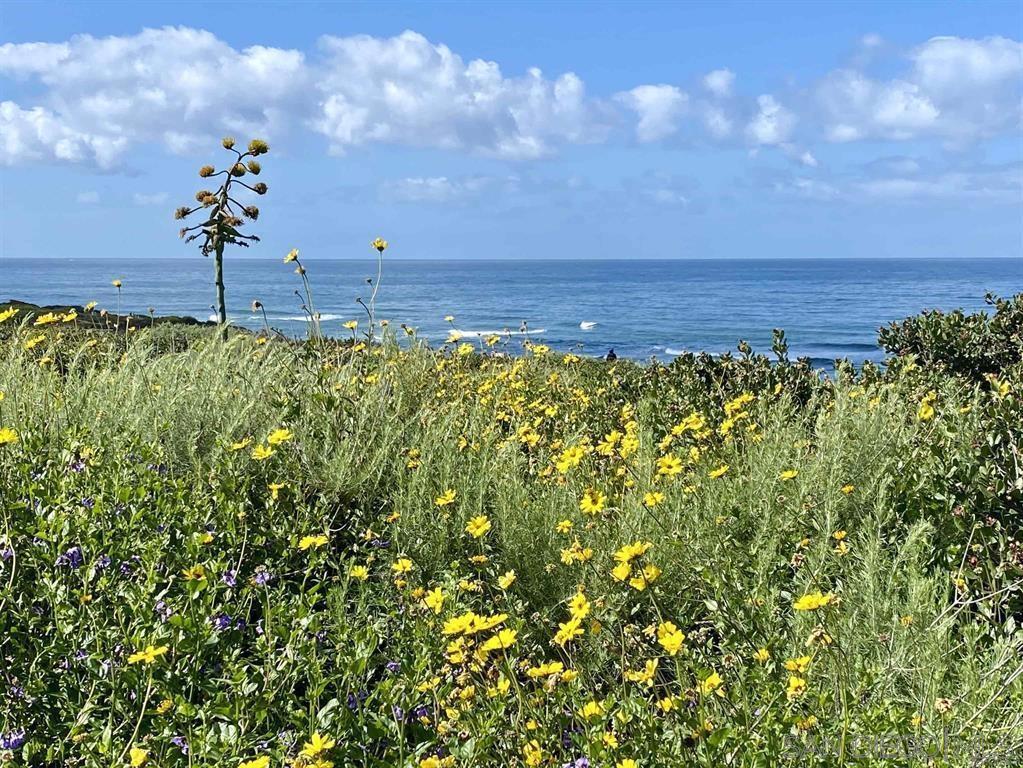 Ocean Beach - Residential