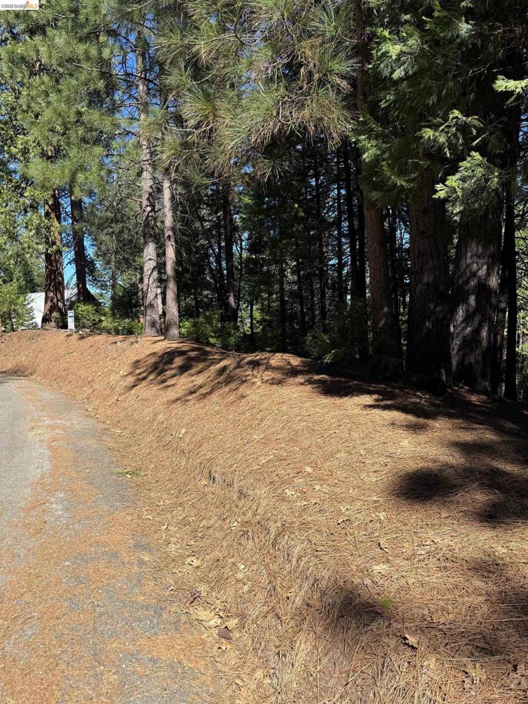 000 Lot 498 Oxbow Lane N