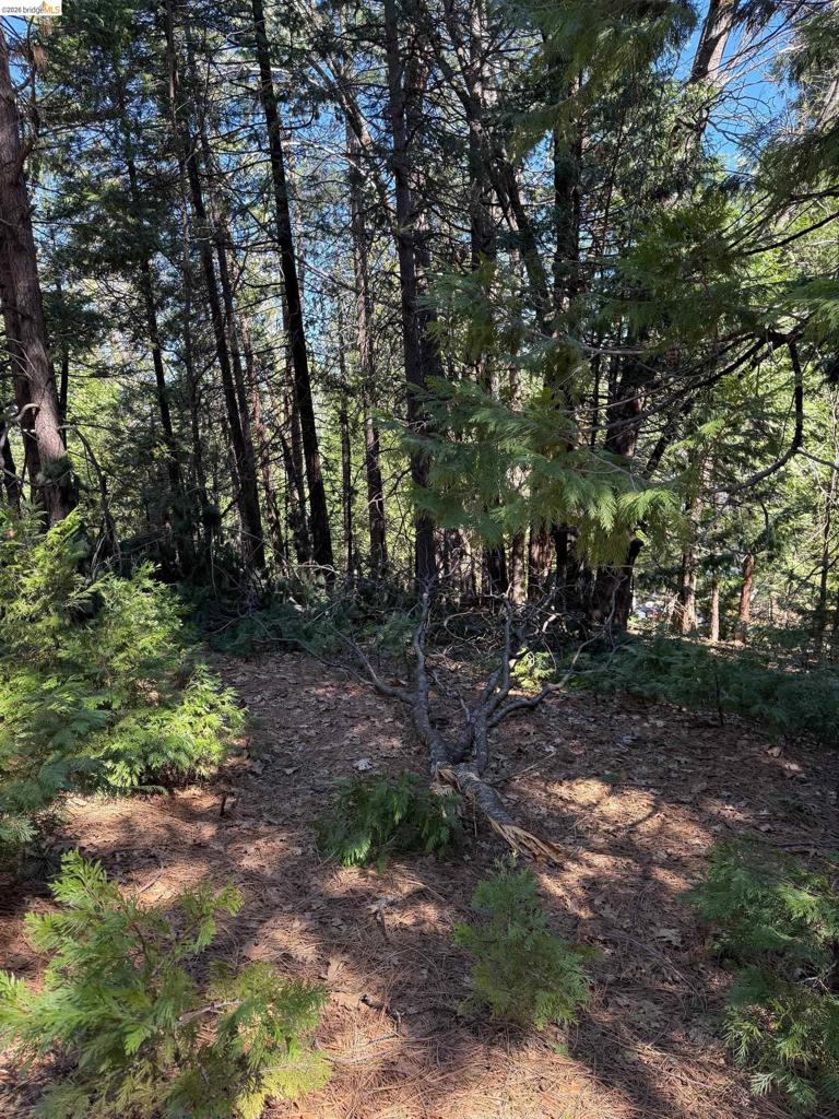 000 Lot 498 Oxbow Lane N