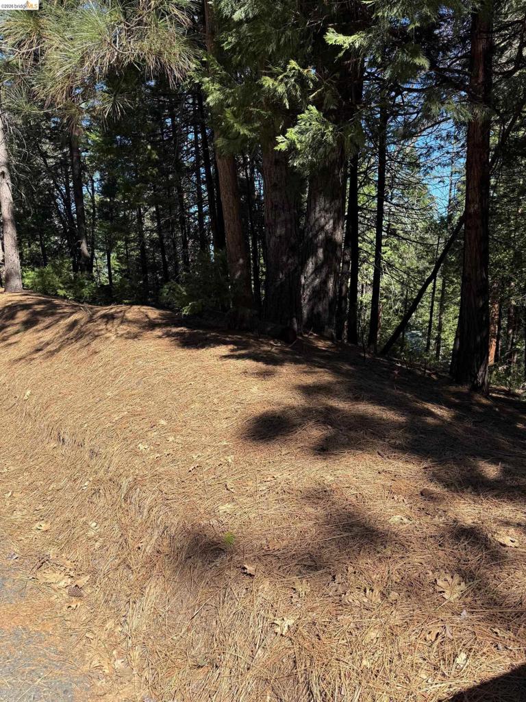000 Lot 498 Oxbow Lane N