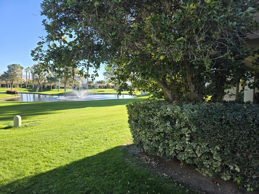 Desert Princess - Residential