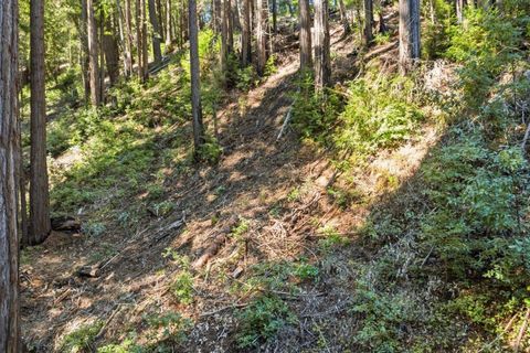 Photo of 0 Forest Way, Ben Lomond, CA 95005 (MLS # ML82038068)