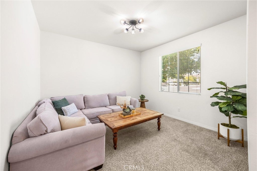 29331 Wild Lilac