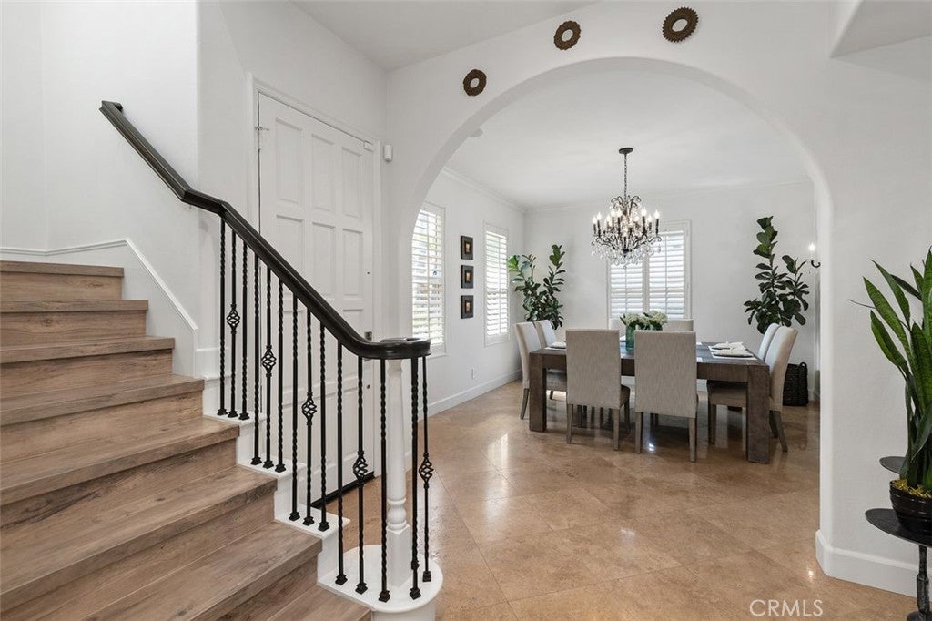 41 Carpenteria
