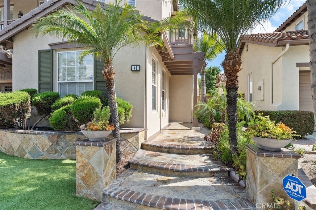 41 Carpenteria