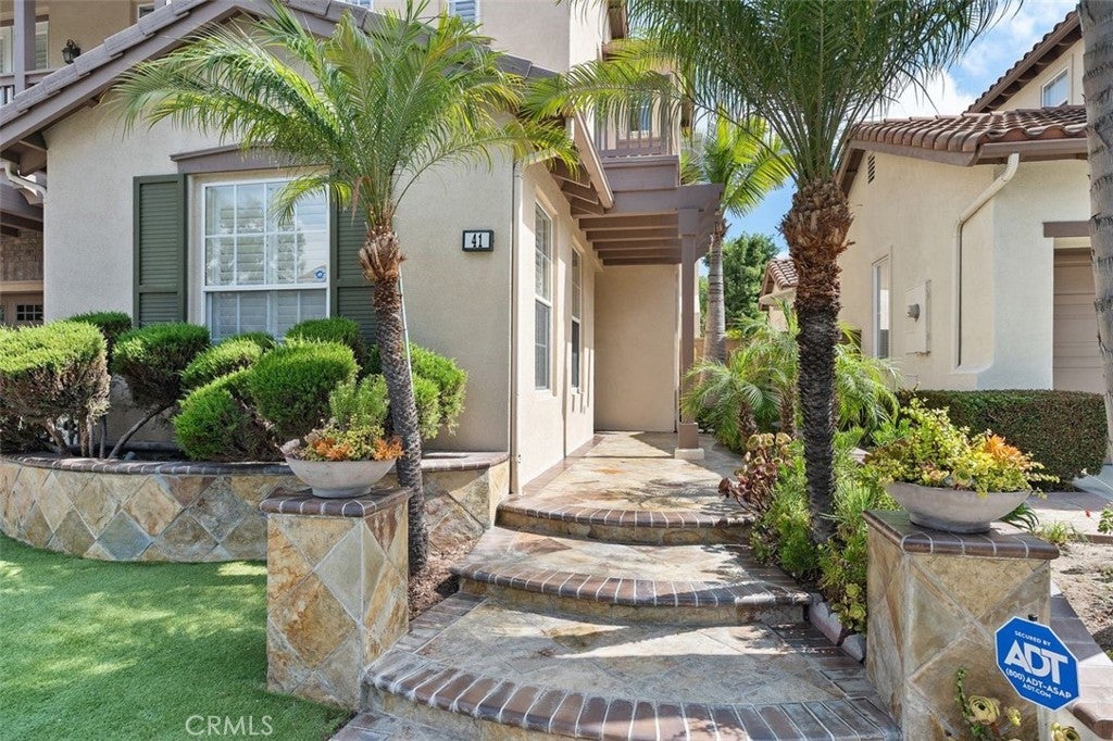 41 Carpenteria