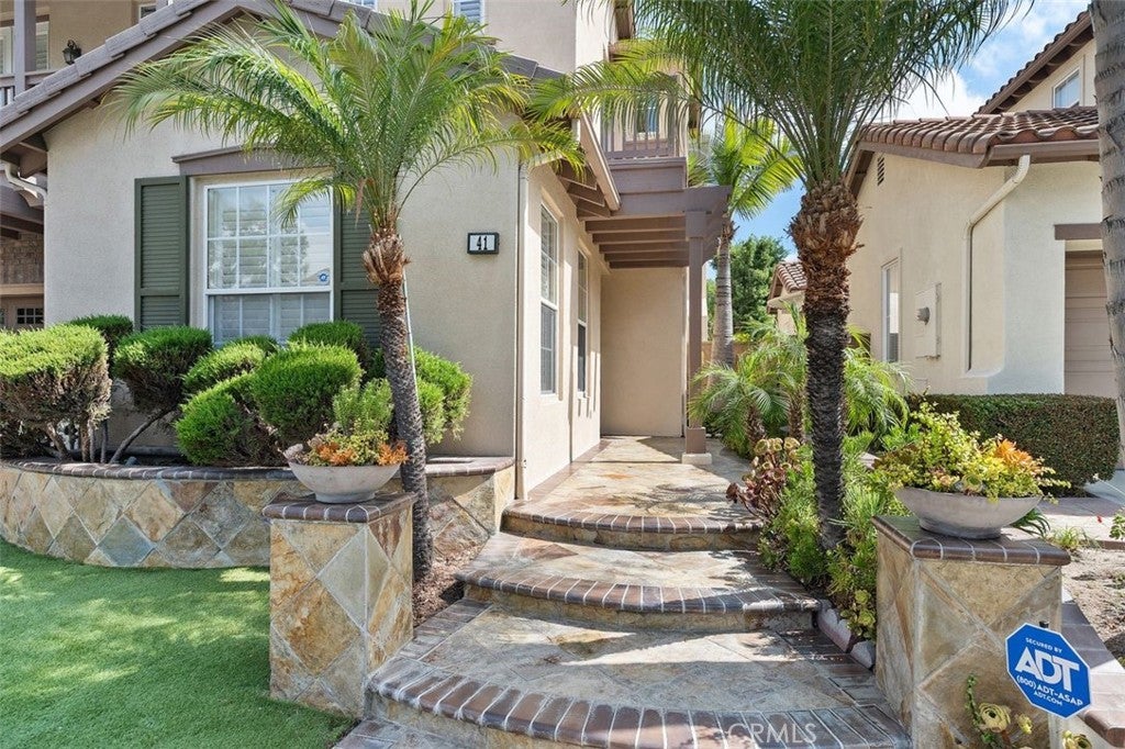 41 Carpenteria