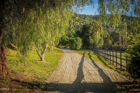 Photo of 11849 Sulphur Mountain Road, Ojai, CA 93023 (MLS # V1-35775)