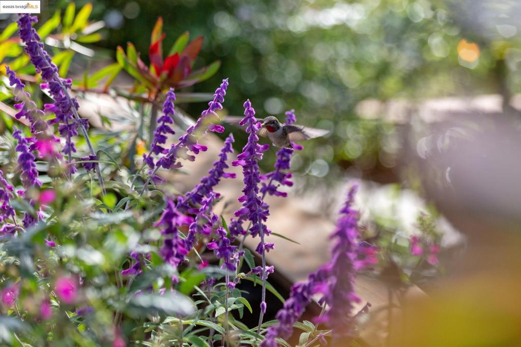 MONTCLAIR HILLS - Residential