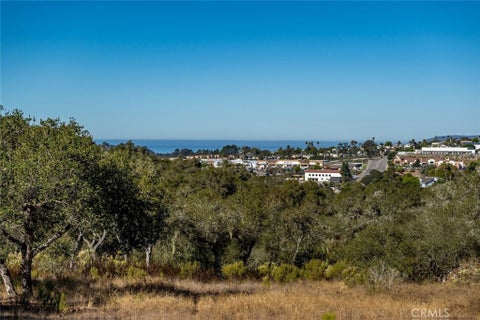 Tiny photo for 539 Palos Secos, Arroyo Grande, CA 93420 (MLS # SC26152767)