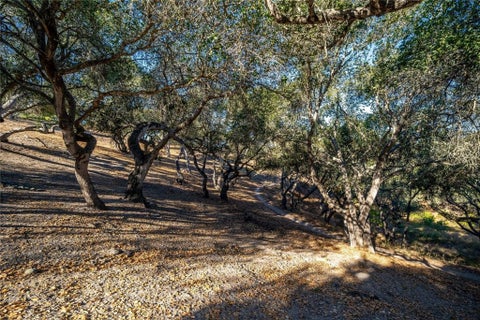 Tiny photo for 539 Palos Secos, Arroyo Grande, CA 93420 (MLS # SC26152767)