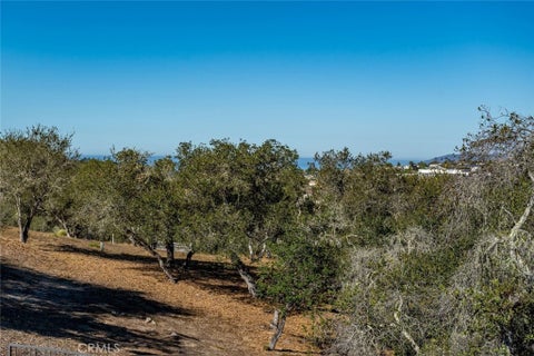 Tiny photo for 539 Palos Secos, Arroyo Grande, CA 93420 (MLS # SC26152767)
