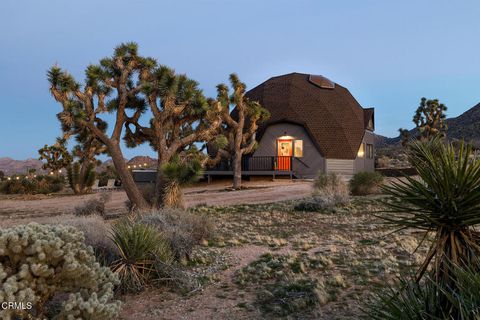 Photo of 7677 Wilton Road, Joshua Tree, CA 92252 (MLS # P1-24470)