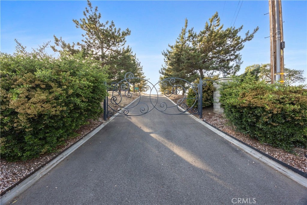 30300 Piebald Court