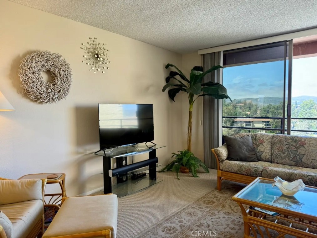24055 Paseo Del Lago 1259