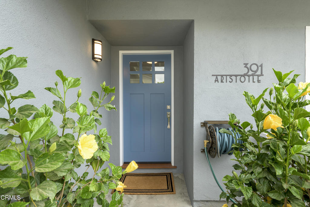 391 Aristotle Street