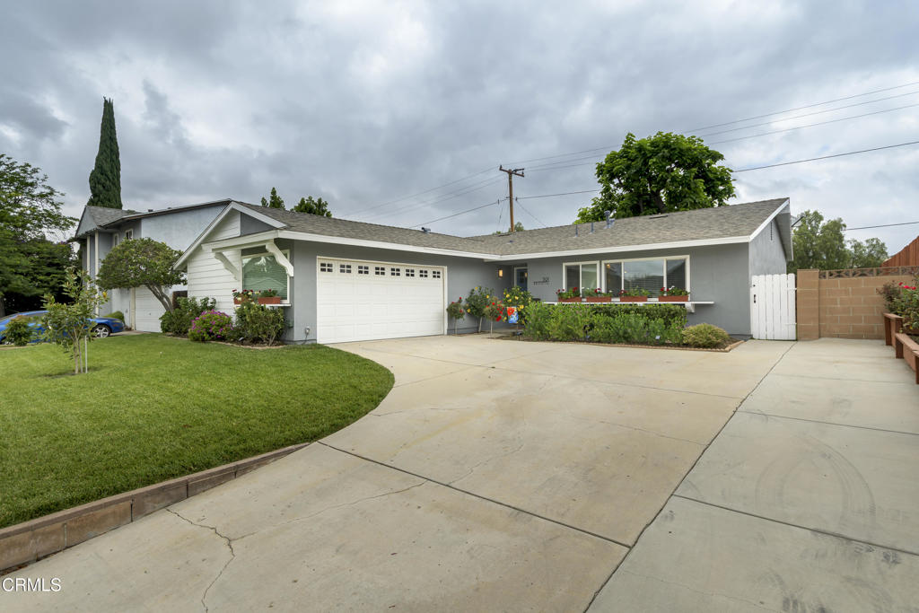 391 Aristotle Street