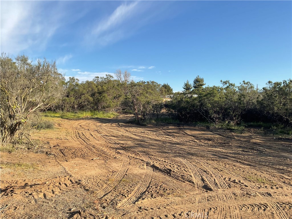 687 Saddleback Drive