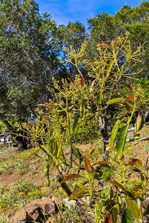 Tiny photo for 957 Skyline Drive, San Luis Obispo, CA 93405 (MLS # SC26068437)