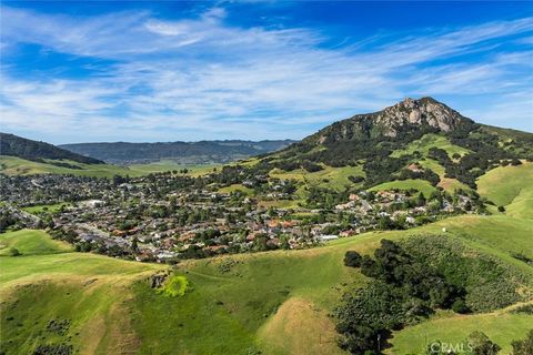 Tiny photo for 957 Skyline Drive, San Luis Obispo, CA 93405 (MLS # SC26068437)