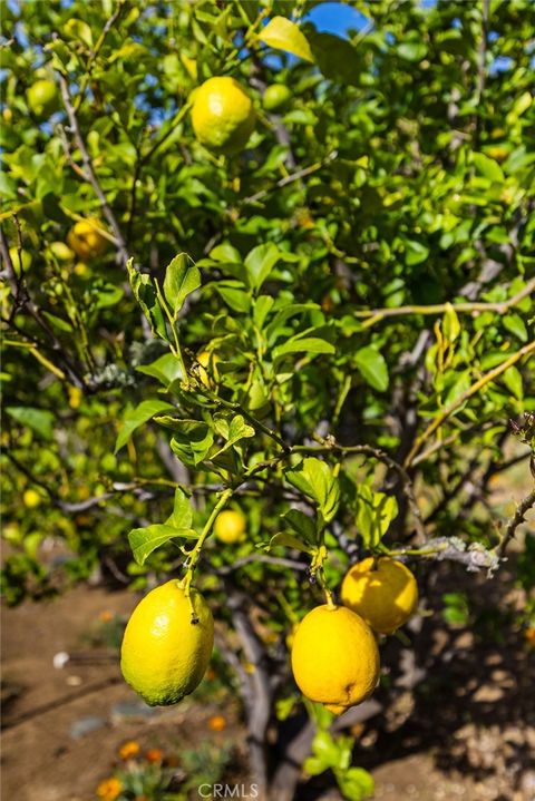 Tiny photo for 957 Skyline Drive, San Luis Obispo, CA 93405 (MLS # SC26068437)