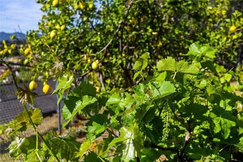 Tiny photo for 957 Skyline Drive, San Luis Obispo, CA 93405 (MLS # SC26068437)