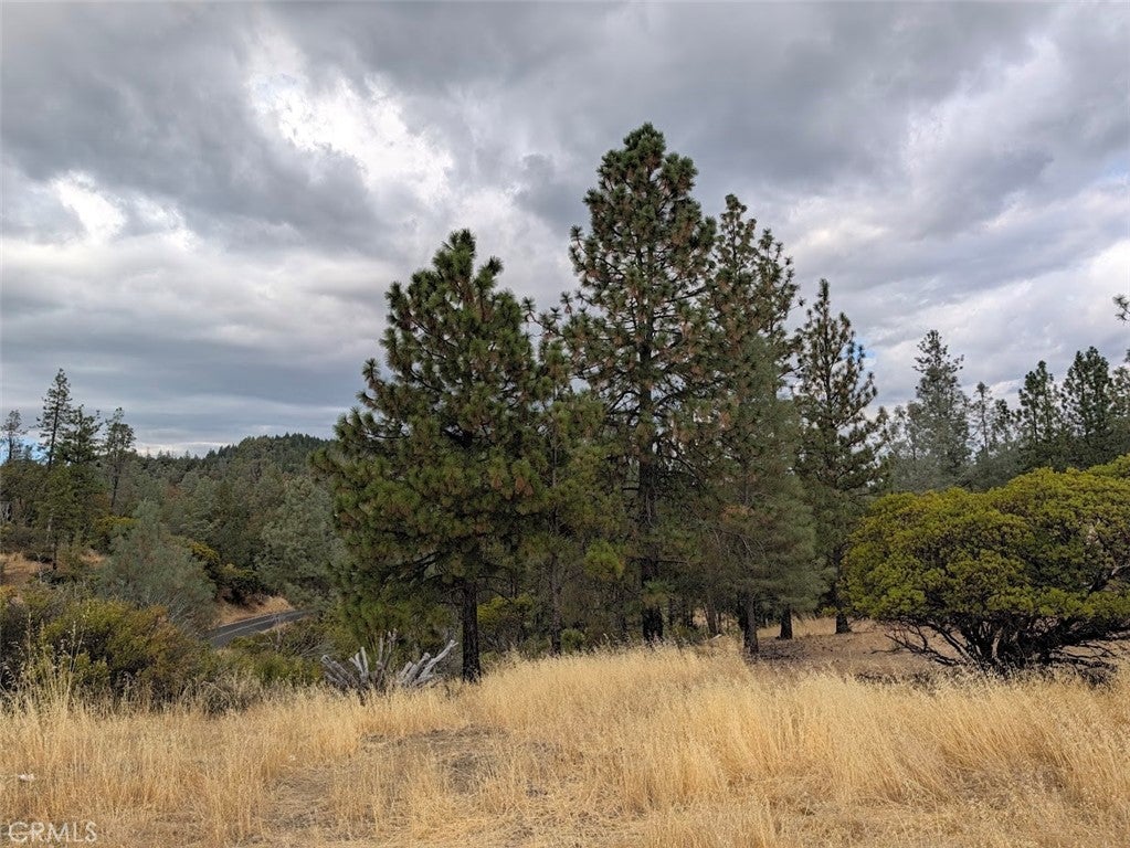 14258 Lema Lane