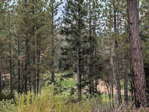 Photo of 14258 Lema Lane, Cobb, CA 95426 (MLS # LC26221816)