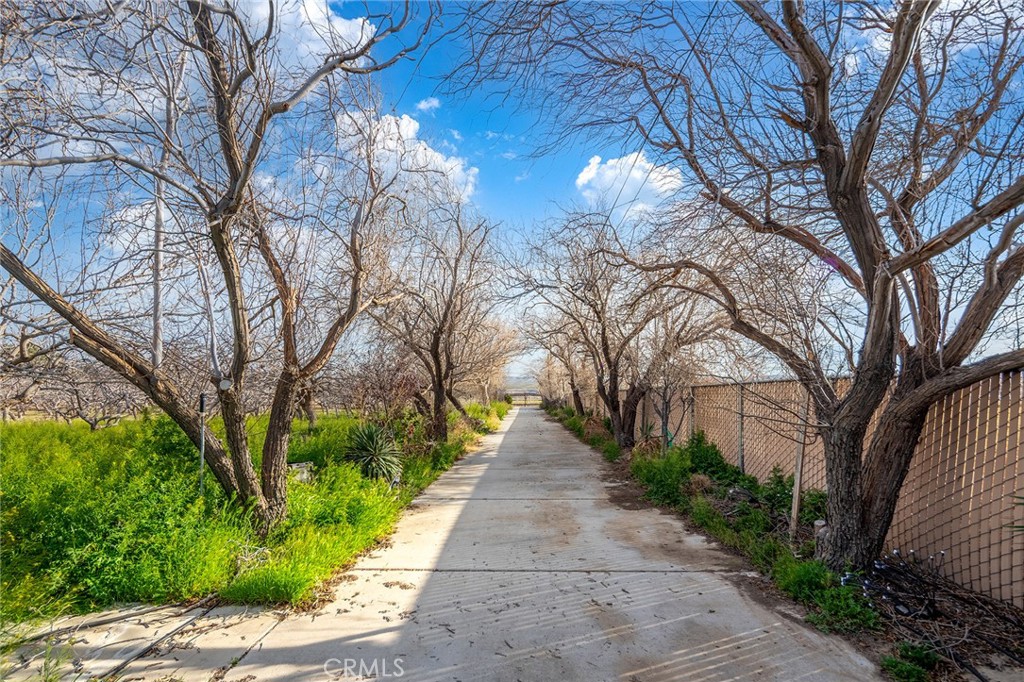 31516 Clay River Road